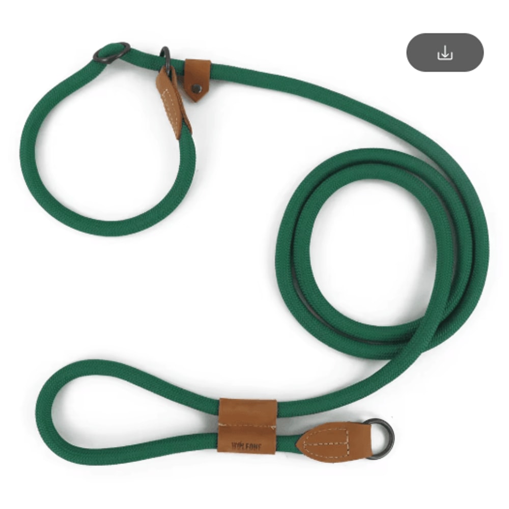 FlexTrail Adjustable Hands Free Dog Leash For Walking Running 6