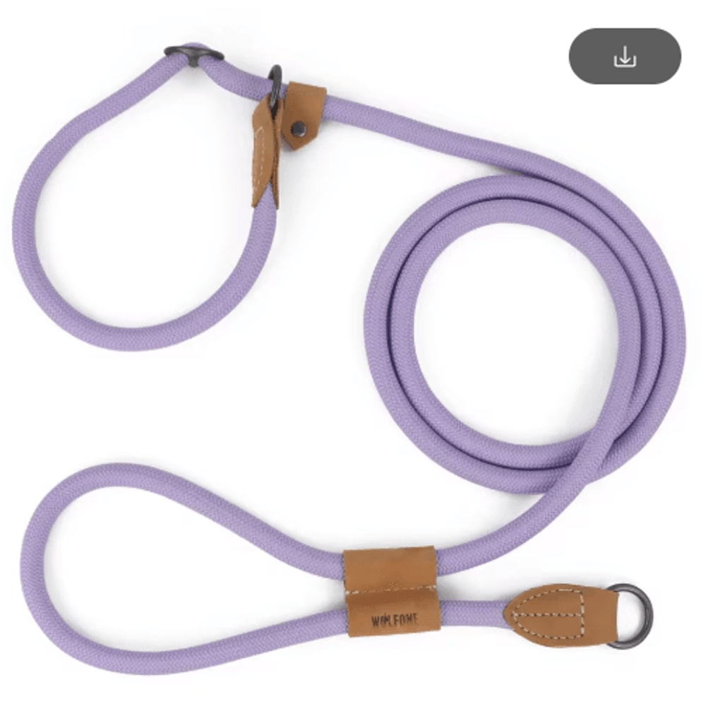 FlexTrail Adjustable Hands Free Dog Leash For Walking Running 8