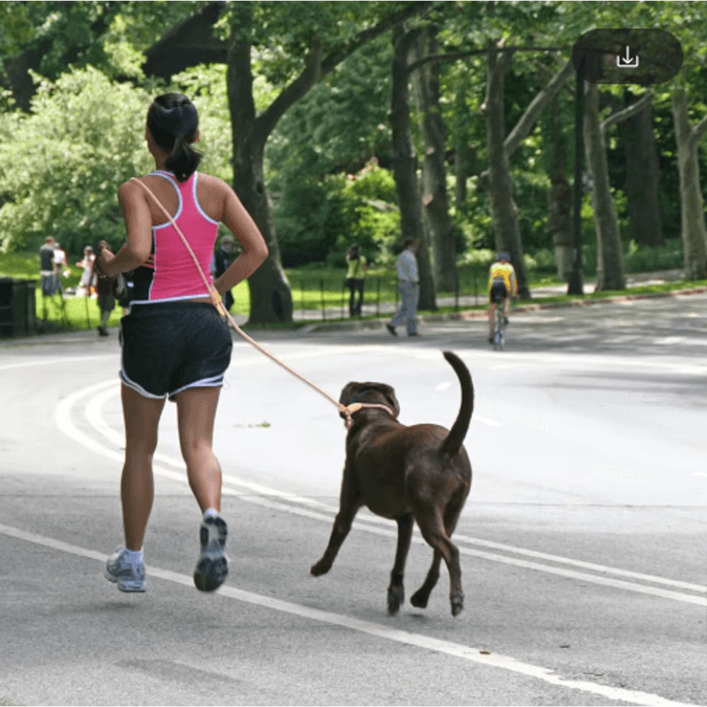 FlexTrail Adjustable Hands Free Dog Leash For Walking Running 9