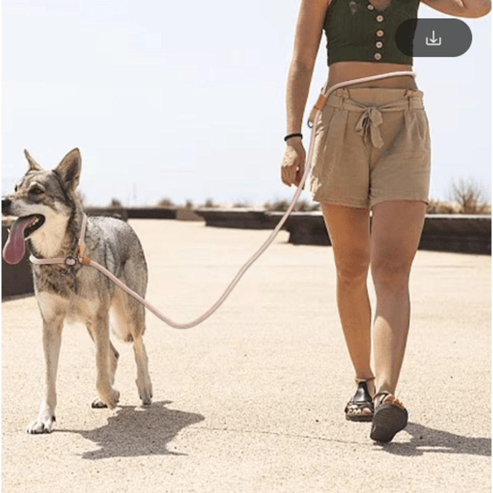 FlexTrail Adjustable Hands Free Dog Leash For Walking Running 0