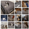 CozyShield Waterproof Dog Bed Cover For Sofas Furniture Protection 3