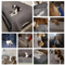 CozyShield Waterproof Dog Bed Cover For Sofas Furniture Protection 3