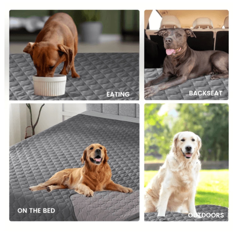 CozyShield Waterproof Dog Bed Cover For Sofas Furniture Protection 6