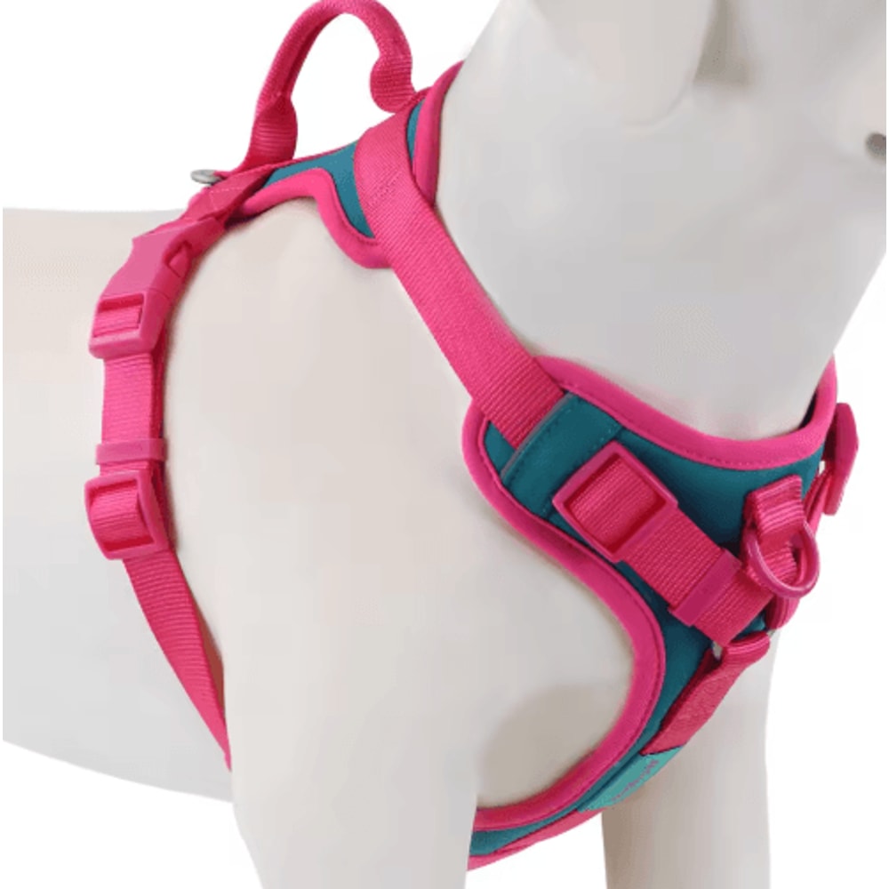 ChocoLuxe Personalized No Pull Dog Harness For Small Large Dogs 3