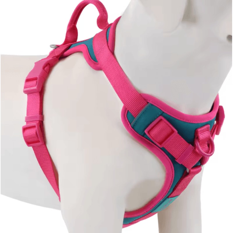ChocoLuxe Personalized No Pull Dog Harness For Small Large Dogs 3