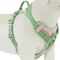 ChocoLuxe Personalized No Pull Dog Harness For Small Large Dogs 4