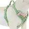 ChocoLuxe Personalized No Pull Dog Harness For Small Large Dogs 4
