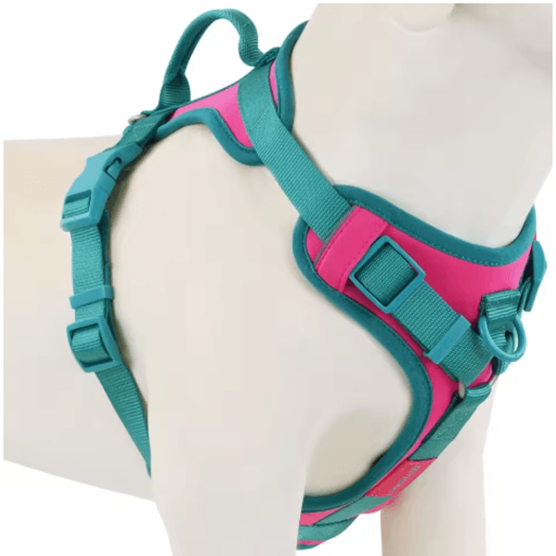 ChocoLuxe Personalized No Pull Dog Harness For Small Large Dogs 7