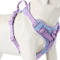 ChocoLuxe Personalized No Pull Dog Harness For Small Large Dogs 8