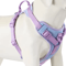 ChocoLuxe Personalized No Pull Dog Harness For Small Large Dogs 8
