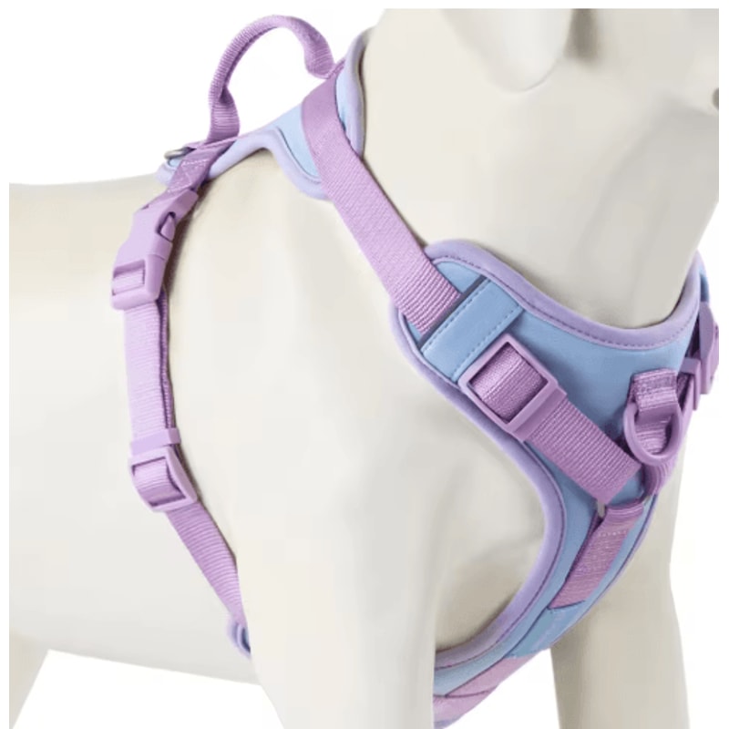 ChocoLuxe Personalized No Pull Dog Harness For Small Large Dogs 8