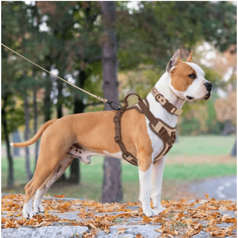 ChocoLuxe Personalized No Pull Dog Harness For Small Large Dogs 9