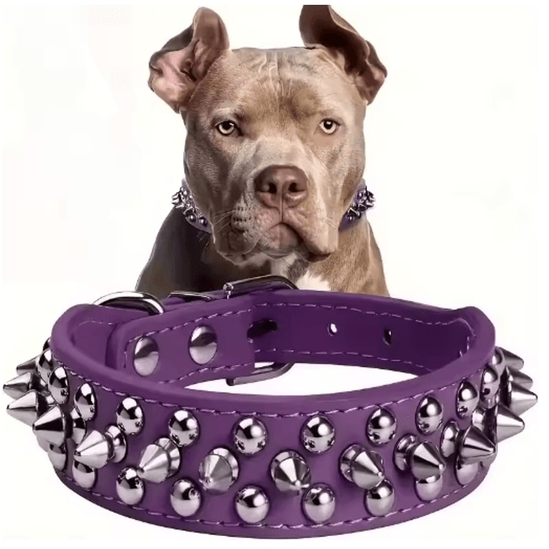 RebelPaws Punk Spike Dog Collar For Small Dogs Cats 1