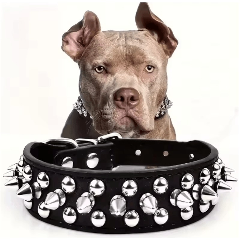 RebelPaws Punk Spike Dog Collar For Small Dogs Cats 0