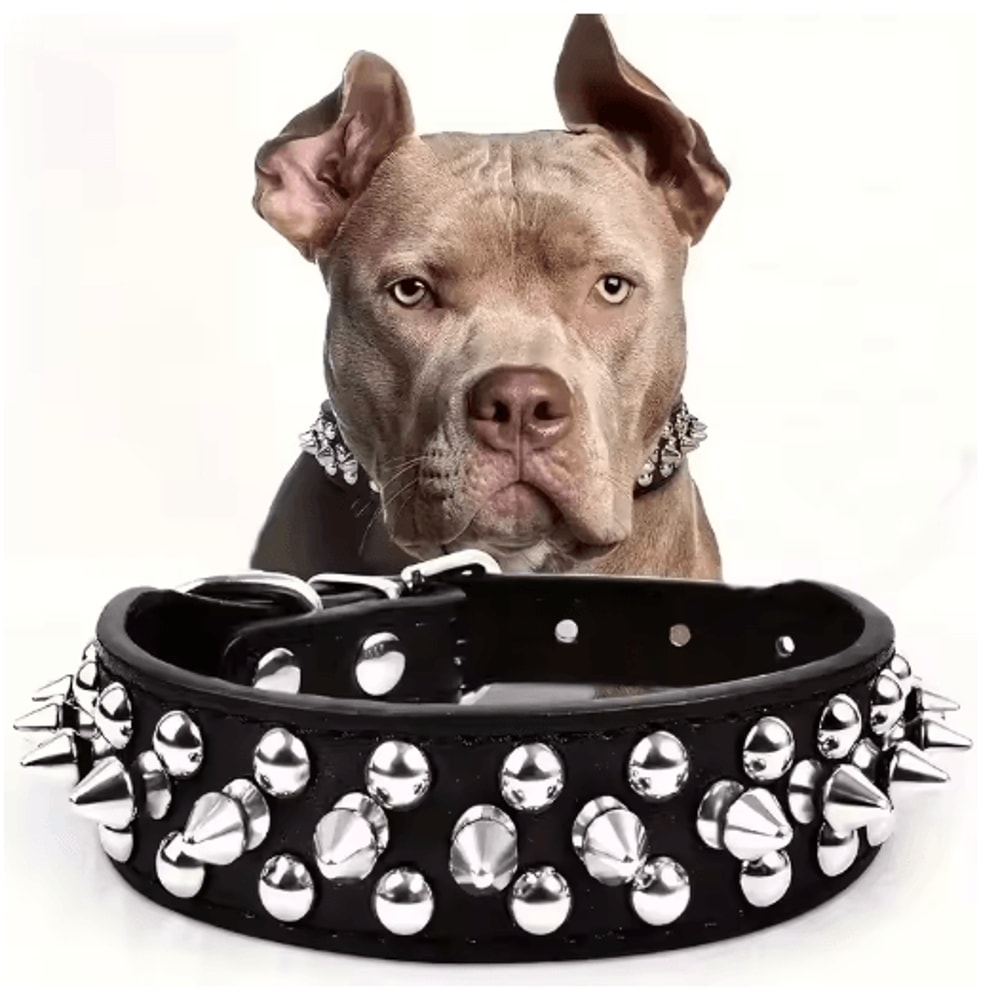 RebelPaws Punk Spike Dog Collar For Small Dogs Cats 3