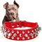 RebelPaws Punk Spike Dog Collar For Small Dogs Cats 4
