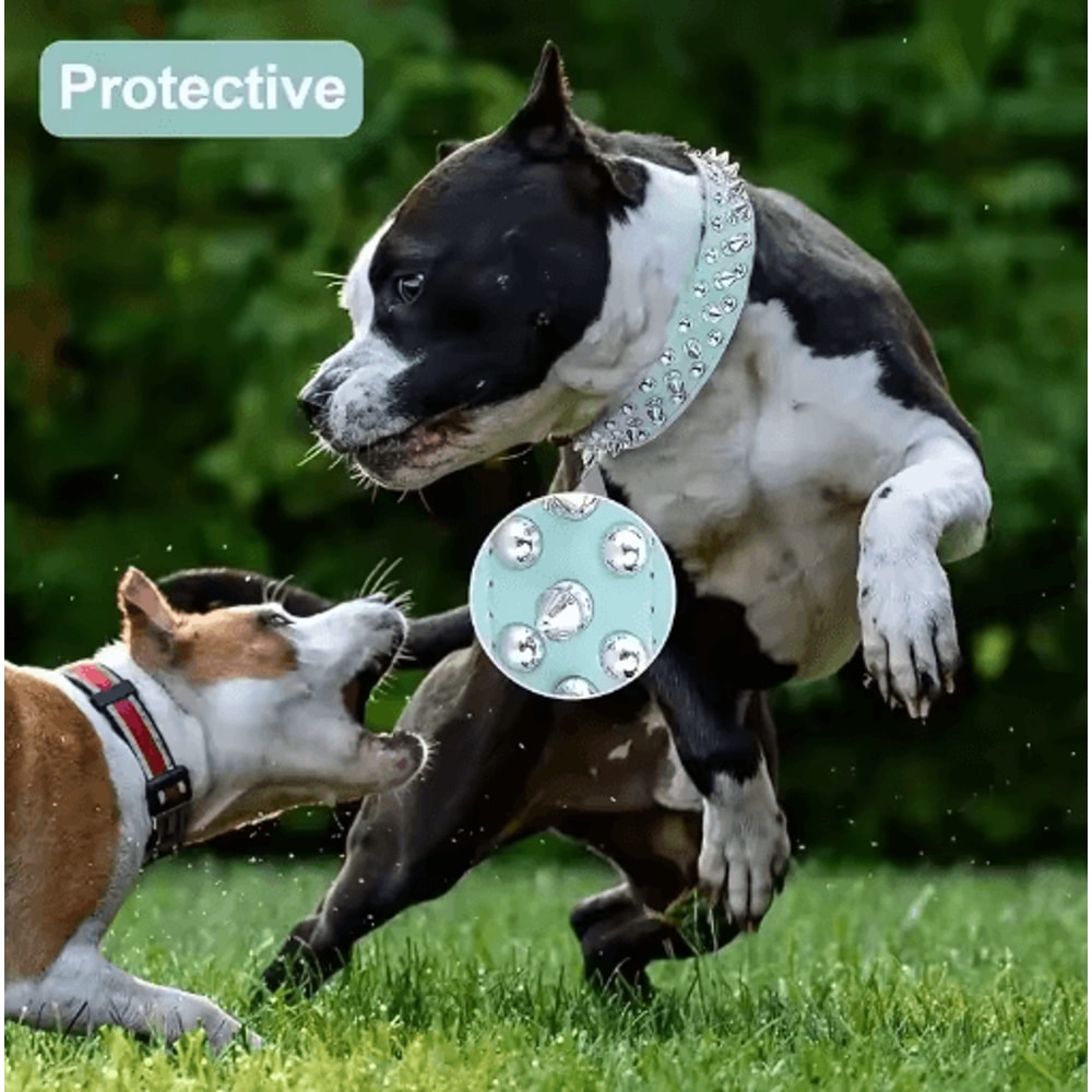 RebelPaws Punk Spike Dog Collar For Small Dogs Cats 7