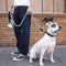 GripMax Reinforced Dog Leash With Soft Comfort Handle 12