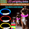 GlowGuard LED Dog Collar For Nighttime Safety Visibility 10