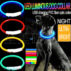 glowguard led dog collar for nighttime safety & visibility