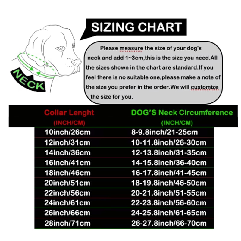 RoyalChain Stainless Steel Dog Chain Collar With Gold Cuban Link Design 3