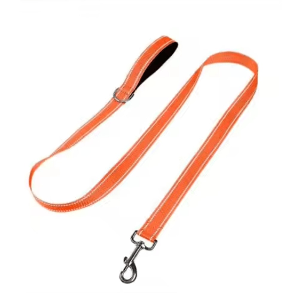 Night Paw Reflective Pet Walking Leash For Dogs Cats 2