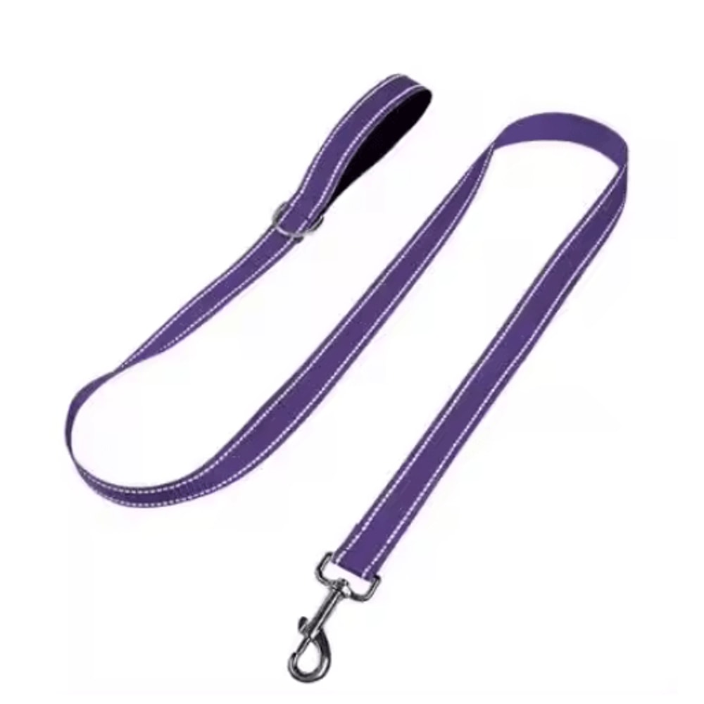 Night Paw Reflective Pet Walking Leash For Dogs Cats 3