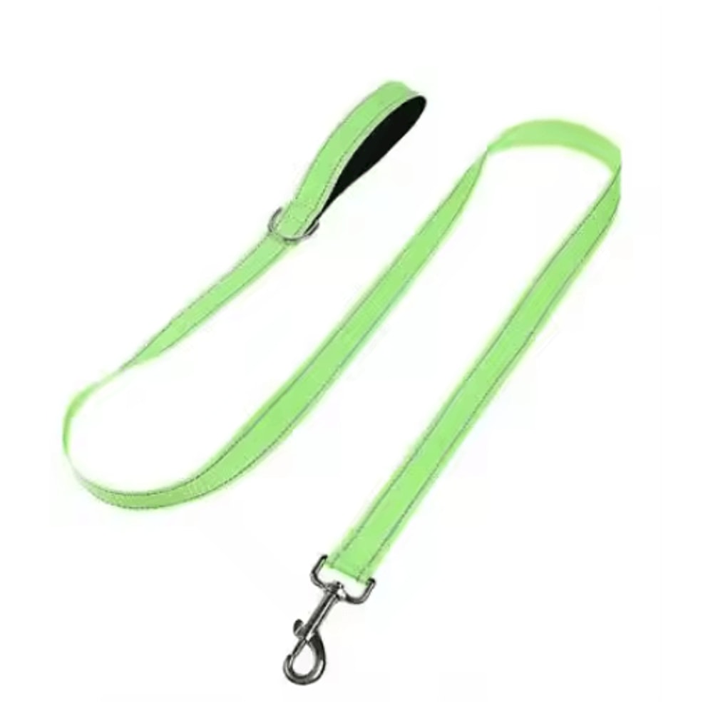 Night Paw Reflective Pet Walking Leash For Dogs Cats 9