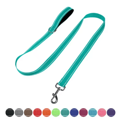 night paw reflective pet walking leash for dogs & cats