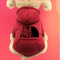 Cozy Trail Cowboy Pet Sweater For Dogs Cats 7