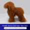 ProGroom Standard Poodle Practice Model Full Body Grooming Training Dog With Skeleton Structure 1