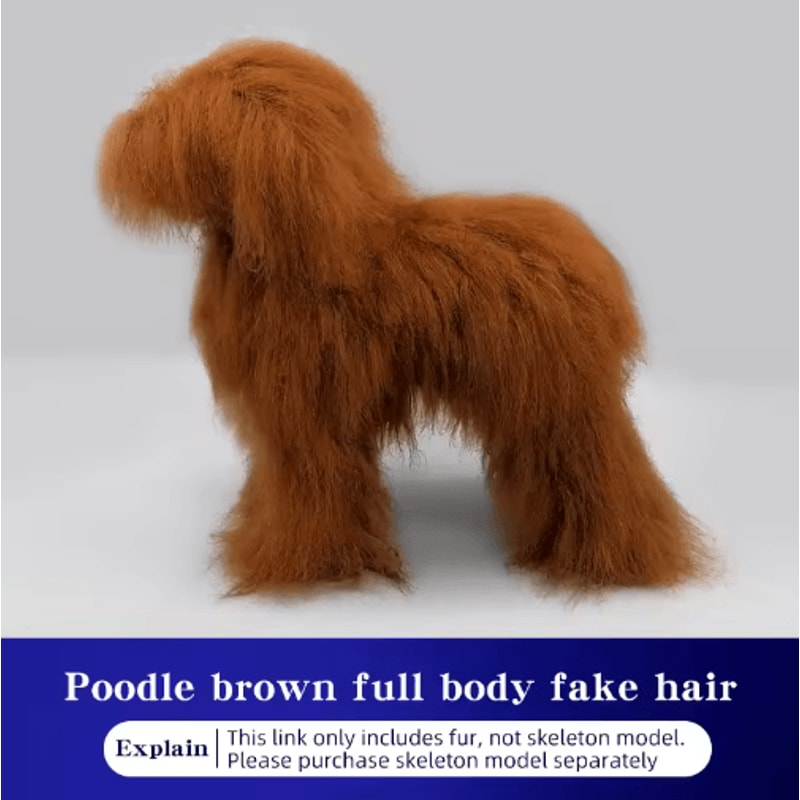 ProGroom Standard Poodle Practice Model Full Body Grooming Training Dog With Skeleton Structure 1