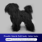 ProGroom Standard Poodle Practice Model Full Body Grooming Training Dog With Skeleton Structure 3