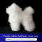 ProGroom Standard Poodle Practice Model Full Body Grooming Training Dog With Skeleton Structure 5