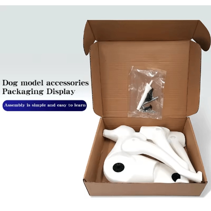 ProGroom Standard Poodle Practice Model Full Body Grooming Training Dog With Skeleton Structure 6
