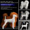 ProGroom Standard Poodle Practice Model Full Body Grooming Training Dog With Skeleton Structure 8