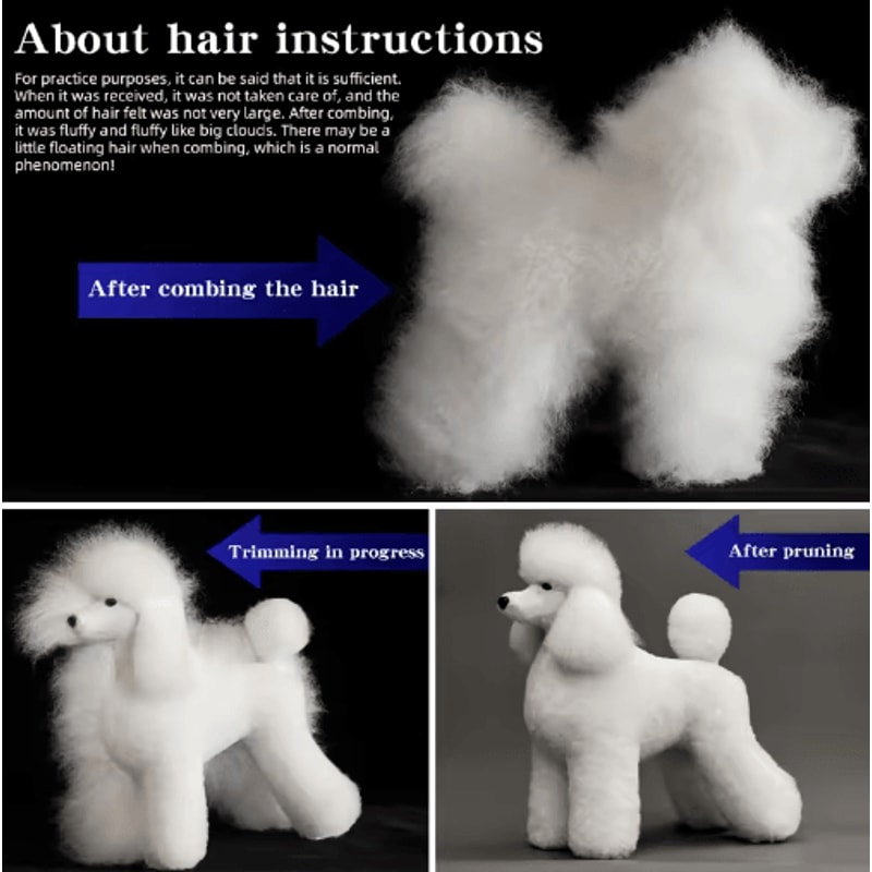 ProGroom Standard Poodle Practice Model Full Body Grooming Training Dog With Skeleton Structure 9