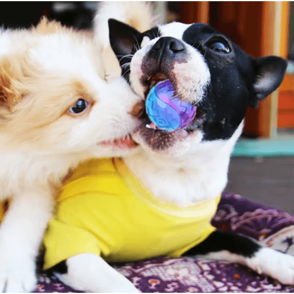 BounceBite Squeaky Rubber Dog Ball NonToxic Interactive Chew Toy For Small Large Dogs 5