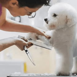 protrim 4pcs pet grooming scissors set – safe round tip dog & cat grooming shears