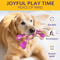 BeefBuddy Tough Chew Dog Toy Durable Beef Flavor Interactive Toy For Training Anxiety Relief 9