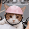 RideSafe Pink Pet Helmet Protective Motorcycle Helmet For Dogs Cats Outdoor Travel 6