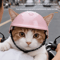 RideSafe Pink Pet Helmet Protective Motorcycle Helmet For Dogs Cats Outdoor Travel 6