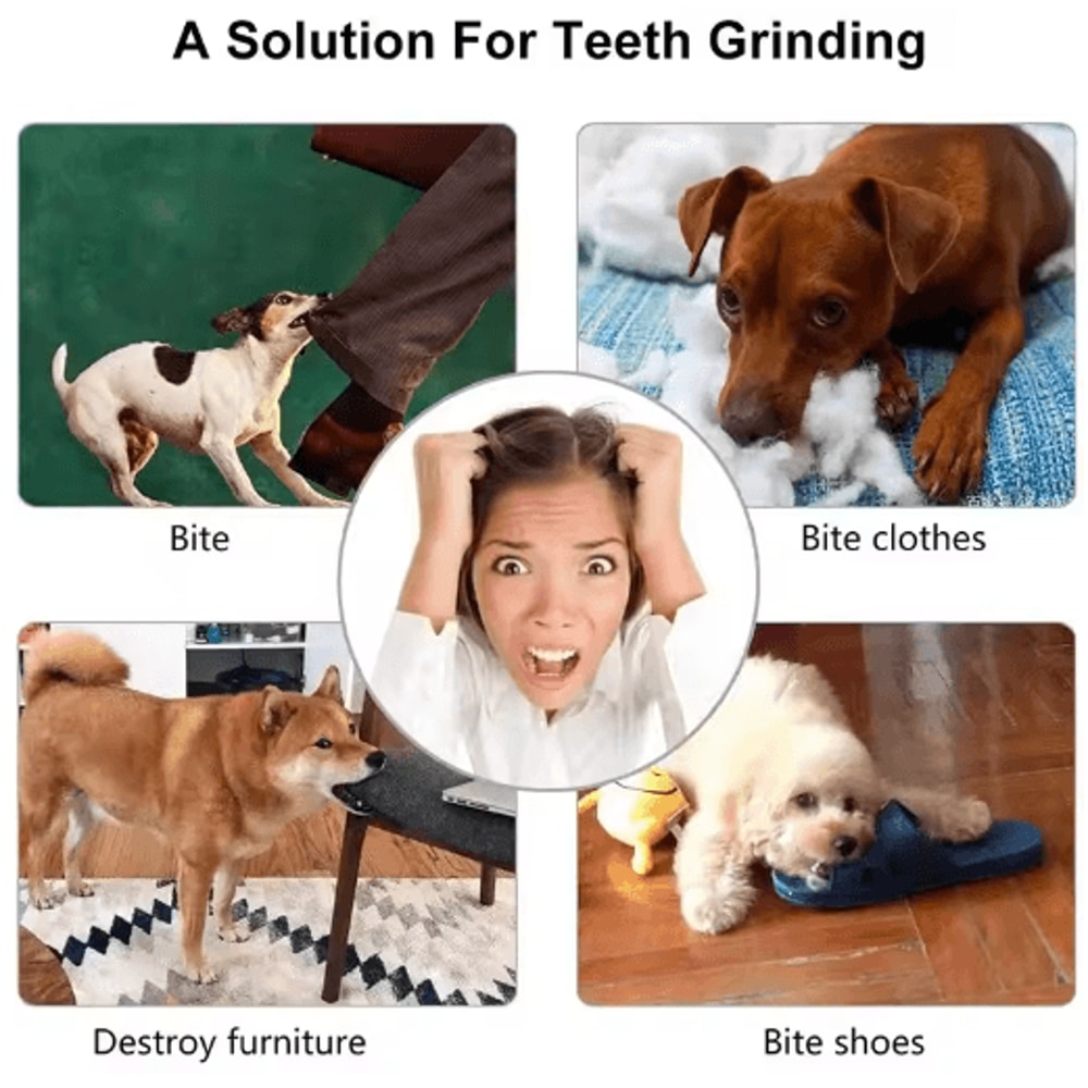 TreatBounce Interactive Dog Ball Bite Resistant Treat Dispensing Chew Toy For Dogs Cats 6