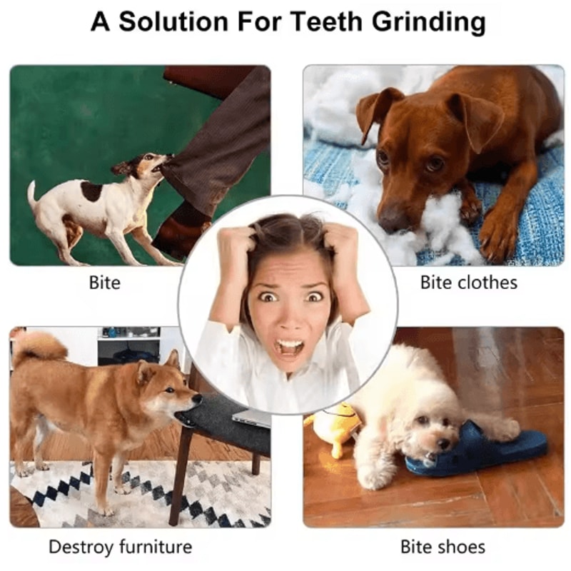 TreatBounce Interactive Dog Ball Bite Resistant Treat Dispensing Chew Toy For Dogs Cats 6