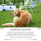 PurePaw Sensitive Skin Dog Shampoo Conditioner Moisturizing AntiItch Pet Cleaning Foam 6