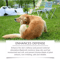 PurePaw Sensitive Skin Dog Shampoo Conditioner Moisturizing AntiItch Pet Cleaning Foam 6