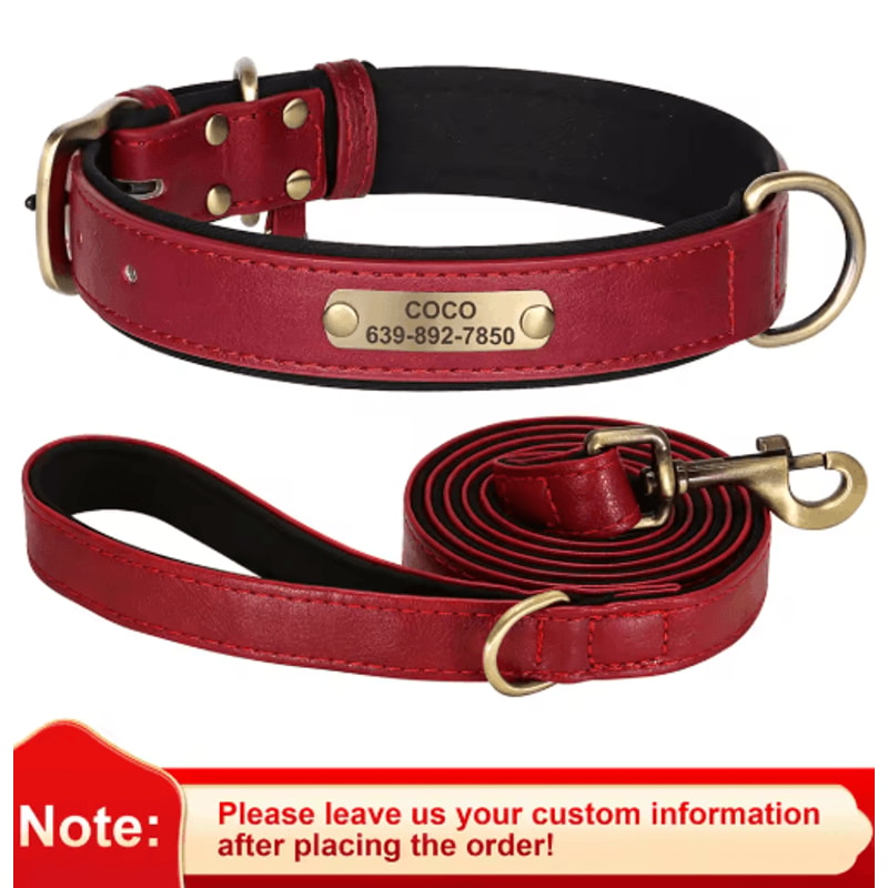 Personalized PU Leather Dog Collar With Free Engraved Nameplate For All Dog Sizes 10
