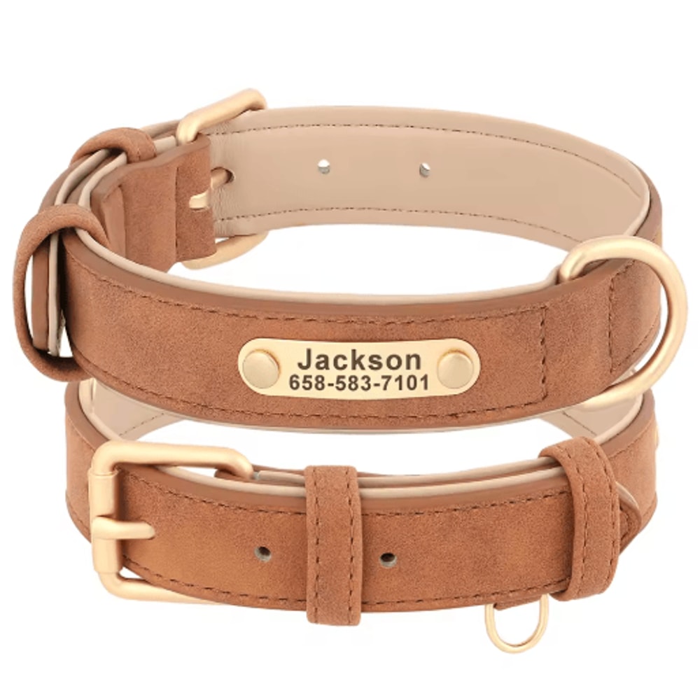 Personalized PU Leather Dog Collar With Free Engraved Nameplate For All Dog Sizes 4