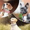 Personalized PU Leather Dog Collar With Free Engraved Nameplate For All Dog Sizes 26