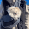 Breathable Dog Sling Carrier Backpack For Puppies Cats Travel Crossbody Pet Bag 13